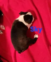 processed/1a7be0ce-149b-4d26-a017-4ebb4e40b9c3/listing/54417ad3-6bc9-40e4-979a-4ce5efcf9de8/debdab4b-8247-419e-a23d-b8356f24af3b