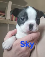 processed/1a7be0ce-149b-4d26-a017-4ebb4e40b9c3/listing/54417ad3-6bc9-40e4-979a-4ce5efcf9de8/dfb3f558-5df0-4240-83c3-571dc0eff40d