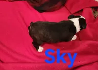 processed/1a7be0ce-149b-4d26-a017-4ebb4e40b9c3/listing/54417ad3-6bc9-40e4-979a-4ce5efcf9de8/e5245529-b2e5-4965-ad84-f4cf1654bbef