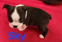 processed/1a7be0ce-149b-4d26-a017-4ebb4e40b9c3/listing/54417ad3-6bc9-40e4-979a-4ce5efcf9de8/f193699b-4027-4462-8e61-44f50eee05e8