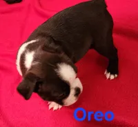 processed/1a7be0ce-149b-4d26-a017-4ebb4e40b9c3/listing/6e80d16e-a39a-4158-9193-0d0301a665d3/20e07edf-7c4b-4126-8ffc-659ab513d731