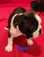 processed/1a7be0ce-149b-4d26-a017-4ebb4e40b9c3/listing/6e80d16e-a39a-4158-9193-0d0301a665d3/8a89347d-2e68-4f24-a37e-74f2014dce61