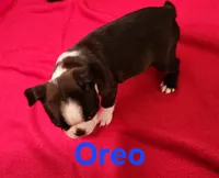 processed/1a7be0ce-149b-4d26-a017-4ebb4e40b9c3/listing/6e80d16e-a39a-4158-9193-0d0301a665d3/98c91fd9-c65d-4106-b430-0efc09310d20