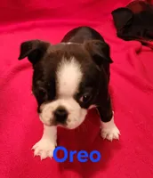 processed/1a7be0ce-149b-4d26-a017-4ebb4e40b9c3/listing/6e80d16e-a39a-4158-9193-0d0301a665d3/9a27dd91-2607-43ef-8d7f-6c728c8b9d3e