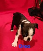 processed/1a7be0ce-149b-4d26-a017-4ebb4e40b9c3/listing/6e80d16e-a39a-4158-9193-0d0301a665d3/facc31c9-0bd4-4060-90df-427cec36cc0b