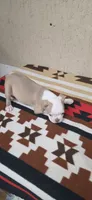 Hank, a male Boston Terrier for sale in Bristow, OK – 5 of 10