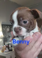 processed/1a7be0ce-149b-4d26-a017-4ebb4e40b9c3/listing/7da24d66-9ad5-456d-875e-ad639d591265/0f9a3049-d529-498d-a4a0-cc7699da0930