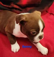 processed/1a7be0ce-149b-4d26-a017-4ebb4e40b9c3/listing/7da24d66-9ad5-456d-875e-ad639d591265/13861891-28fd-4050-b765-c874bbbe13f1