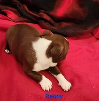 processed/1a7be0ce-149b-4d26-a017-4ebb4e40b9c3/listing/7da24d66-9ad5-456d-875e-ad639d591265/1db8e2f4-d446-4b9b-b18c-fa134f3a5e96