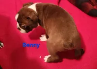 processed/1a7be0ce-149b-4d26-a017-4ebb4e40b9c3/listing/7da24d66-9ad5-456d-875e-ad639d591265/34cac00c-2515-4e3b-a7e4-7571d36cfec4