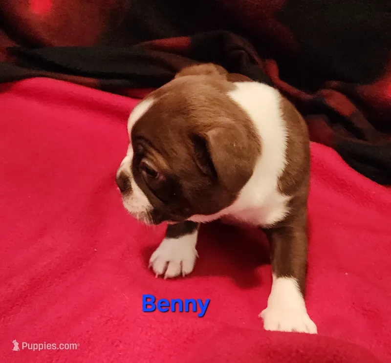 BENNY