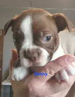 processed/1a7be0ce-149b-4d26-a017-4ebb4e40b9c3/listing/7da24d66-9ad5-456d-875e-ad639d591265/8b25c45e-76b5-476f-bdd6-2213f241cd4d