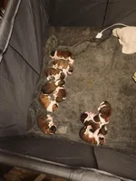 processed/1a7f6162-6fc3-4703-a640-83709ea65d36/facility/31874e00-93b8-4f61-9116-5c3aee8dd0de