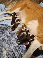 processed/1a7f6162-6fc3-4703-a640-83709ea65d36/facility/4fd61505-d74a-4286-94d3-2c9f55beb4c6