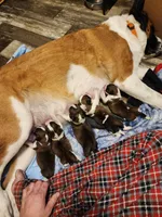 processed/1a7f6162-6fc3-4703-a640-83709ea65d36/facility/9d544a53-708b-493a-9fd9-201d57cddd19