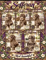 Sefferon-F2b - Crystal Blue Double Eyes, a female Aussiedoodle and Poodle - Standard  for sale in Tulsa, OK – 7 of 7