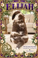 ELiJAH- Most Beautiful Crystal Blue Eyed Doodle Ever, a male Aussiedoodle and Poodle - Standard  for sale in Tulsa, OK – 5 of 6