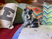 processed/1a8eb677-a46e-466f-938f-b12fa81c8715/facility/3700d7a2-8bfe-4487-92b8-2916773fb211