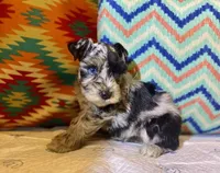 processed/1a8eb677-a46e-466f-938f-b12fa81c8715/facility/593fa5c0-f73f-4322-95af-fe008eef1826