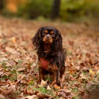 processed/1a900e80-0792-416f-962b-36cf5c7e3c3a/facility/926a7b36-608f-4023-8c47-8ba1ae4bde6e