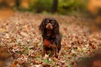 processed/1a900e80-0792-416f-962b-36cf5c7e3c3a/facility/926a7b36-608f-4023-8c47-8ba1ae4bde6e