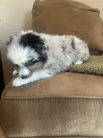 processed/1aa2d5d1-c419-4547-b64f-e7a59e9506e4/listing/54133576-e939-4141-b1d5-f79af32ca2db/313d268c-93ca-460f-b409-adf502323320