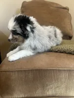 processed/1aa2d5d1-c419-4547-b64f-e7a59e9506e4/listing/54133576-e939-4141-b1d5-f79af32ca2db/b890d13c-7be5-4593-bc88-0f195c29f0b2