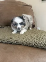 processed/1aa2d5d1-c419-4547-b64f-e7a59e9506e4/listing/54133576-e939-4141-b1d5-f79af32ca2db/b8f95872-756e-461b-a850-8b8220d0a360