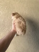 processed/1ab3aad3-4d78-4bc4-b7e5-b01ce82ce1a8/listing/b3c7056f-97da-4135-b35f-93a846a64a3c/4ea80060-8c03-45f7-b44d-13fd799d0c81