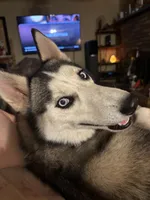 processed/1ac1f133-9028-4d88-853f-5b818018b156/listing/6cc47331-e93c-454e-b628-bcbcb53f3438/4441f1ac-434b-4aba-a652-c7b5fb2730a1