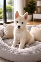 processed/1ac1f133-9028-4d88-853f-5b818018b156/listing/aab5afa3-ca9e-4eec-8989-2804f2f429f7/086f33dd-7cc4-415e-be2a-1011e5efd543