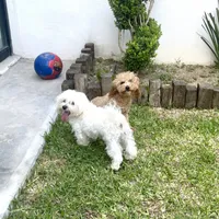 processed/1ac4d11e-6257-4176-9c48-6919c3cd309f/facility/12436648-073d-41fb-b283-581957e26ac8