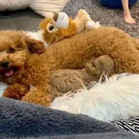 processed/1ac4d11e-6257-4176-9c48-6919c3cd309f/facility/2ef417cb-670a-4421-abd9-32dc67cdb78c