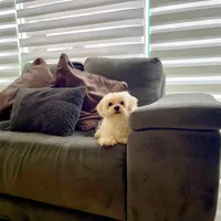 processed/1ac4d11e-6257-4176-9c48-6919c3cd309f/facility/34ab2757-0ebd-47e9-a47c-1a0a7ab320af