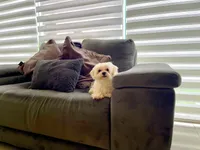 processed/1ac4d11e-6257-4176-9c48-6919c3cd309f/facility/34ab2757-0ebd-47e9-a47c-1a0a7ab320af