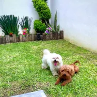 processed/1ac4d11e-6257-4176-9c48-6919c3cd309f/facility/b57218fc-88f3-4331-8a9c-fc47cf9764f6