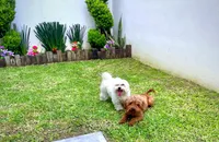 processed/1ac4d11e-6257-4176-9c48-6919c3cd309f/facility/b57218fc-88f3-4331-8a9c-fc47cf9764f6