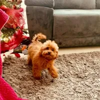 processed/1ac4d11e-6257-4176-9c48-6919c3cd309f/facility/c7ef8666-95e1-4dbb-8111-84325b8f33f3