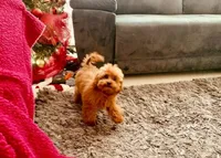 processed/1ac4d11e-6257-4176-9c48-6919c3cd309f/facility/c7ef8666-95e1-4dbb-8111-84325b8f33f3