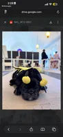 Peach, a female French Bulldog for sale in Cincinnati, OH – 1 of 3