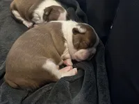 processed/1acd3d22-f1e8-4e18-8ffa-57d4ce1e7645/listing/da324278-23c6-4965-a46e-977f911134d8/205202c9-0d70-480f-a6dd-32a381332064