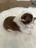 processed/1acd3d22-f1e8-4e18-8ffa-57d4ce1e7645/listing/da324278-23c6-4965-a46e-977f911134d8/6df49e2f-7341-4e93-9d57-df7e334f647f