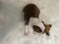 processed/1acd3d22-f1e8-4e18-8ffa-57d4ce1e7645/listing/da324278-23c6-4965-a46e-977f911134d8/80b26af0-66e5-4eee-a6f2-41fdcf8b855d