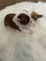 processed/1acd3d22-f1e8-4e18-8ffa-57d4ce1e7645/listing/da324278-23c6-4965-a46e-977f911134d8/82fcfec0-431a-47c4-9017-5c82ece42601