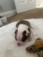 processed/1acd3d22-f1e8-4e18-8ffa-57d4ce1e7645/listing/da324278-23c6-4965-a46e-977f911134d8/88147fff-1cca-450a-9a89-8e9f26d53cff