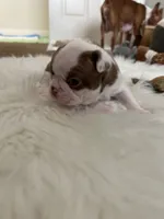 processed/1acd3d22-f1e8-4e18-8ffa-57d4ce1e7645/listing/da324278-23c6-4965-a46e-977f911134d8/f71db035-2bb6-4b24-9cfb-b8d0efa6079c