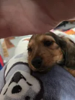 processed/1add5f54-f415-4679-a4b0-4e8f589b5666/facility/1ef187db-57e4-4bff-a232-23c430a5a734