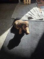 processed/1add5f54-f415-4679-a4b0-4e8f589b5666/facility/9f6d0a91-9906-47d2-992a-87cf09dab74f