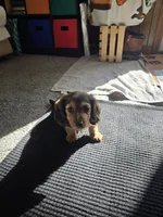 processed/1add5f54-f415-4679-a4b0-4e8f589b5666/facility/ec698b51-e5e2-4fd3-bc58-9122ab257bfe