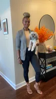 Tito, a male Shih Tzu for sale in Mcdonough, GA – 4 of 5
